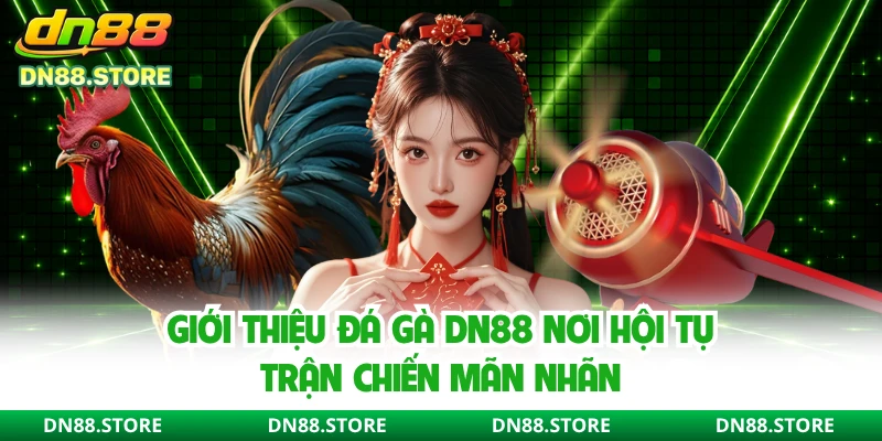 Giới thiệu đá gà DN88 nơi hội tụ trận chiến mãn nhãn
