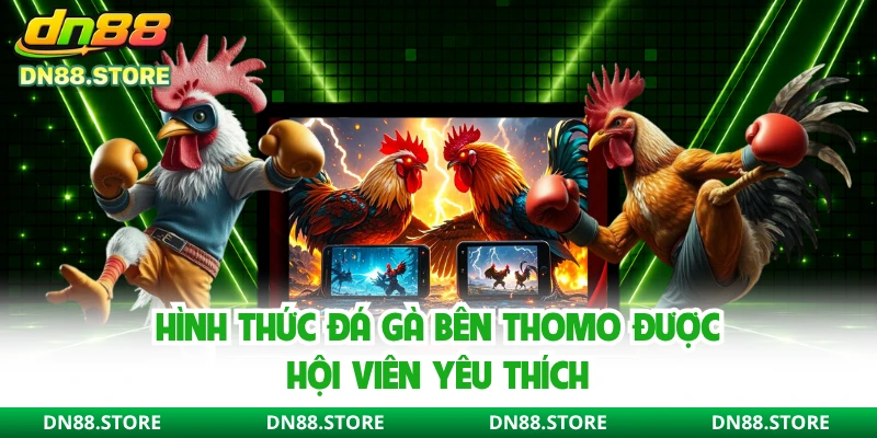 Hình thức đá gà bên Thomo được hội viên yêu thích