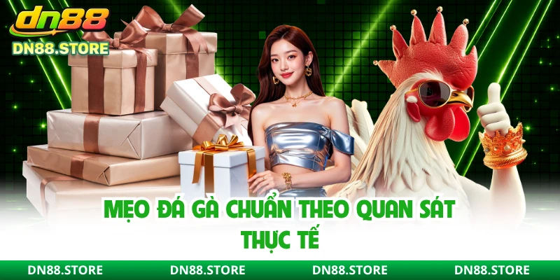Mẹo đá gà chuẩn theo quan sát thực tế