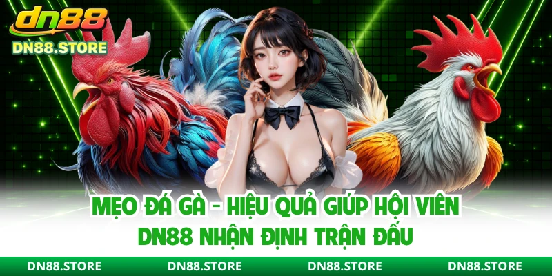 Mẹo Đá Gà - Hiệu Quả Giúp Hội Viên DN88 Nhận Định Trận Đấu