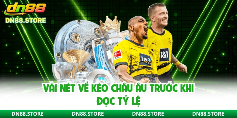 Vài nét về kèo châu Âu trước khi đọc tỷ lệ